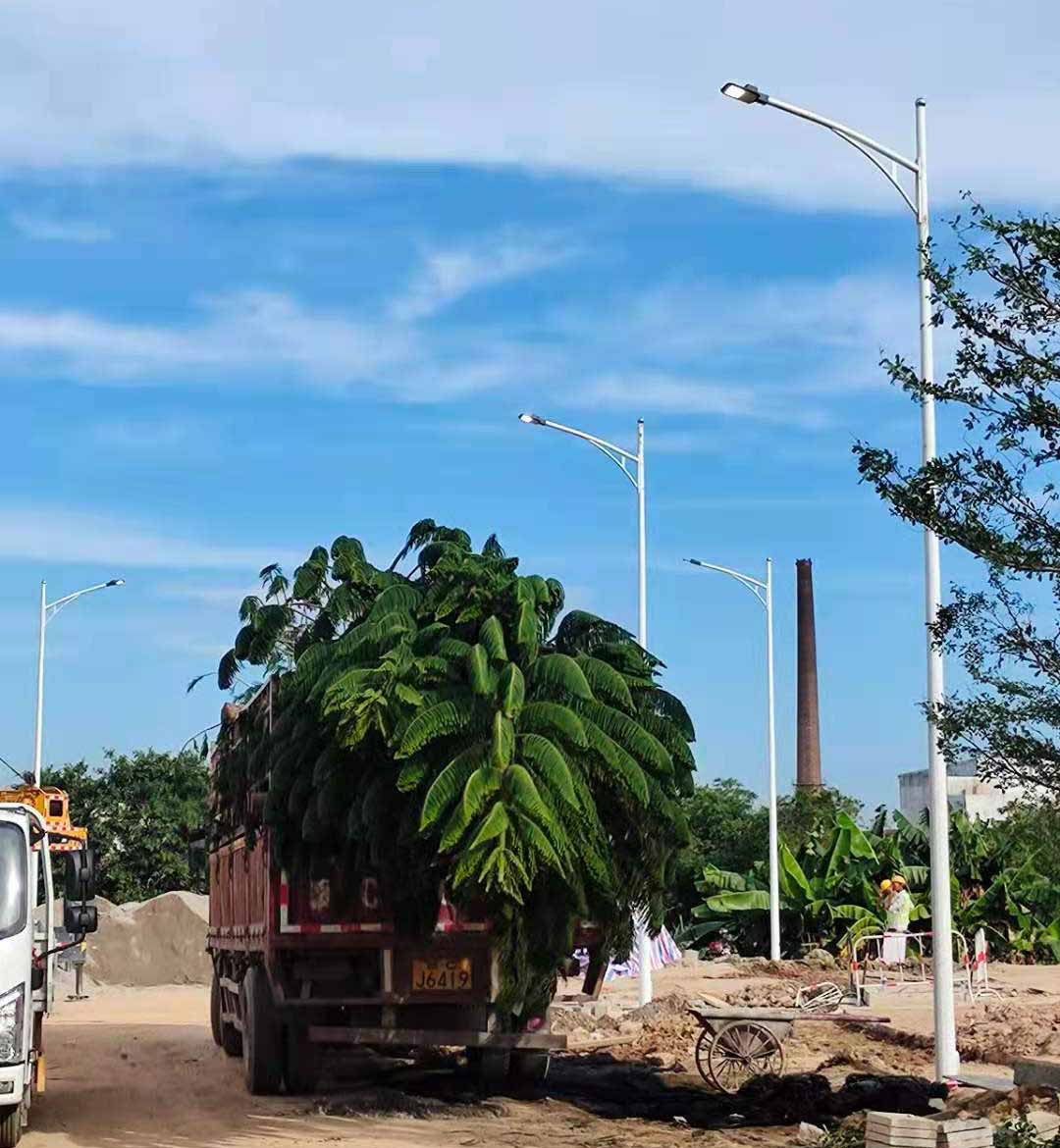 华体会在线开户,华体会(中国)助力东莞洪梅万科星城道路亮化工程